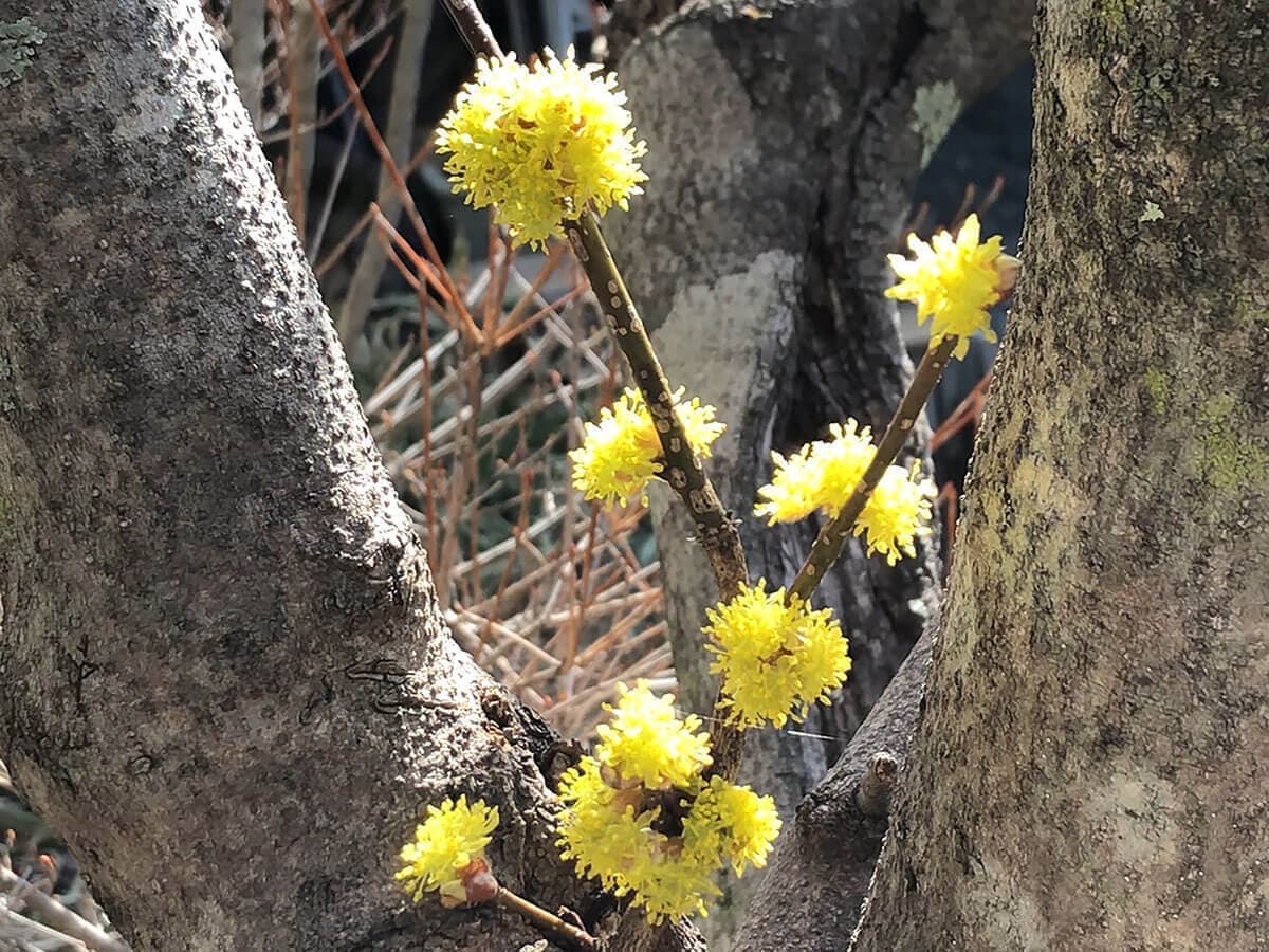 八ヶ岳｜アトリエクー